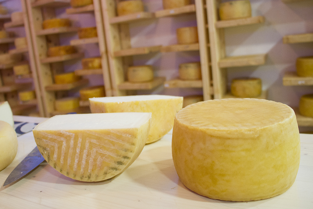 Roque Grande cheese from Gran Canaria
